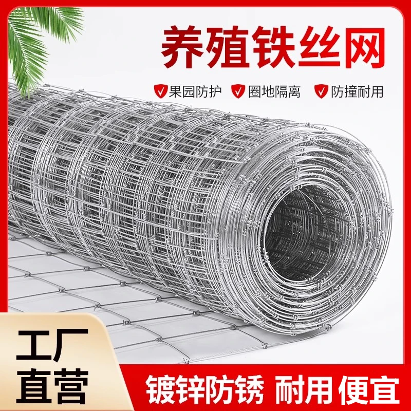 热镀锌铁丝网养殖围栏网防护防锈圈地网养猪牛羊果园网牛羊护栏网