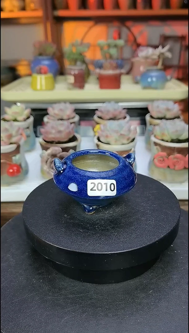 【闪购商品】拇指花盆编号2010