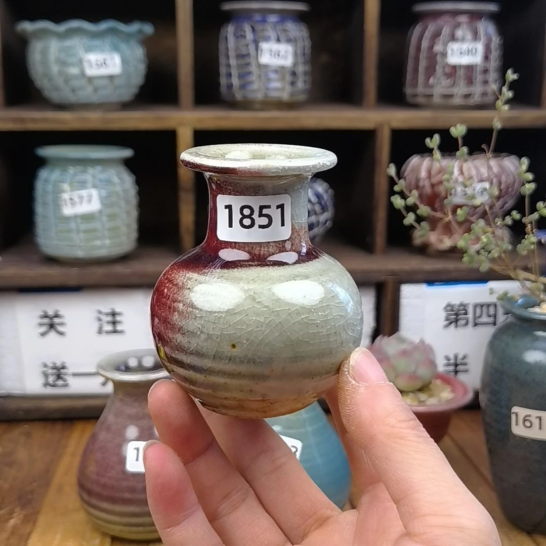 熳*美玲拇指花盆半价