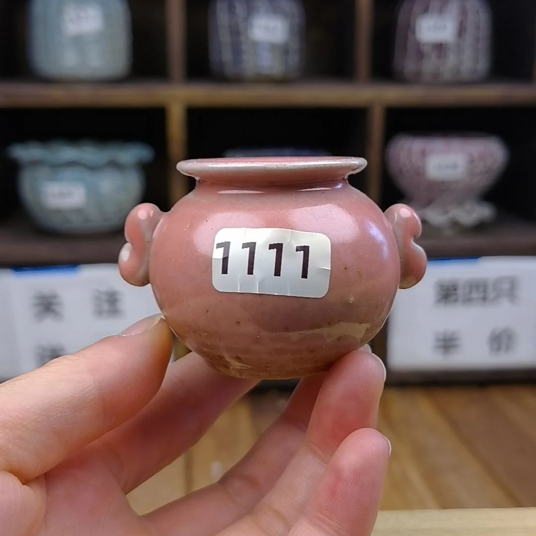 美玲拇指花盆 1111