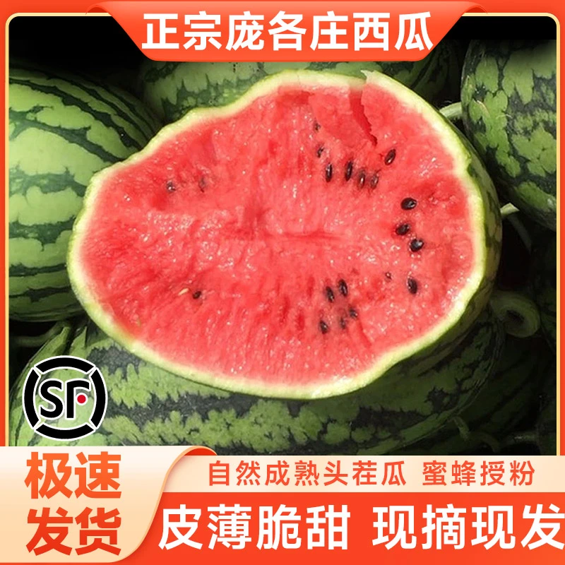 北京大兴庞各庄小西瓜整箱 手撕小吊瓜产地直发保熟