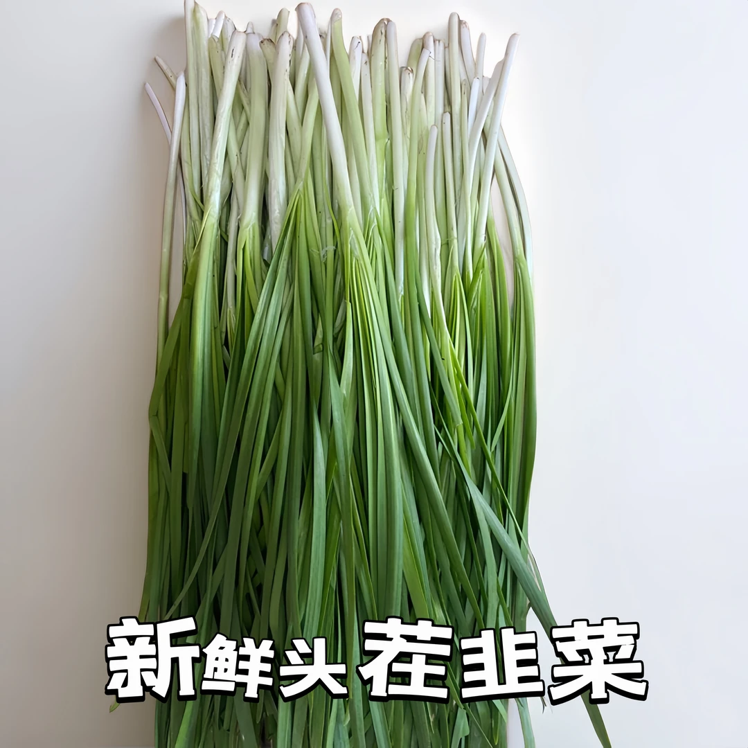 烟台韭菜产地现割现发沙地长脖雪韭毛韭菜白紫根韭菜净重2-5斤