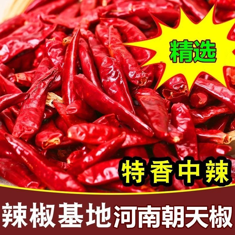 微辣特香干辣椒批发辣椒粉面河南农家新货精选朝天椒香而1000g