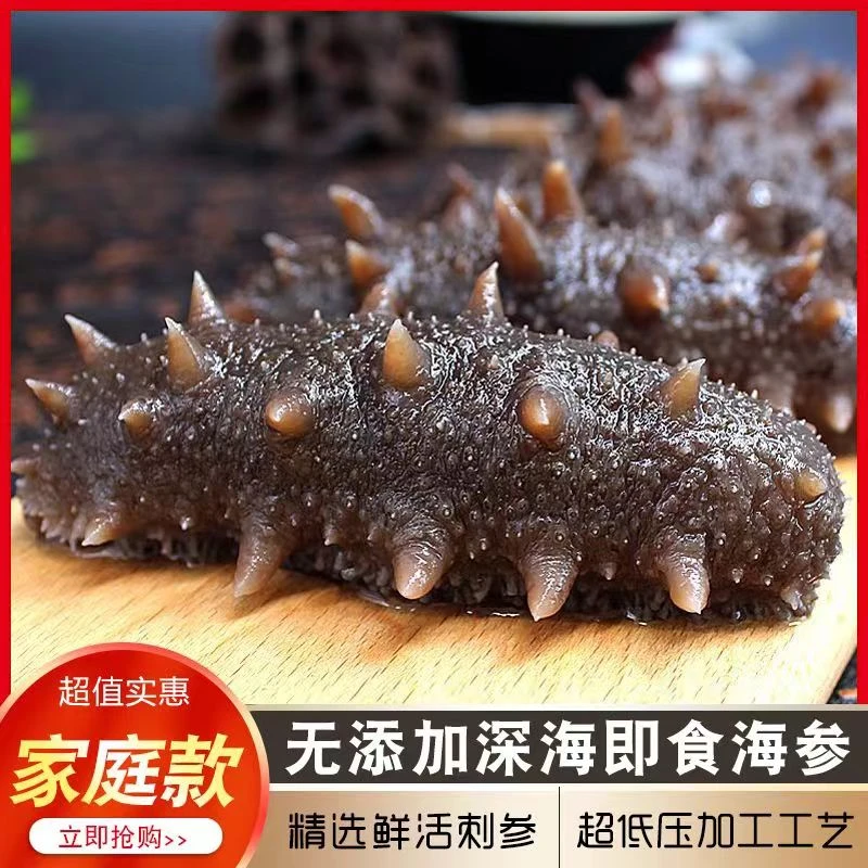 【新粉福利】开袋即食工厂大连辽刺参深海顺丰包邮拍一发二