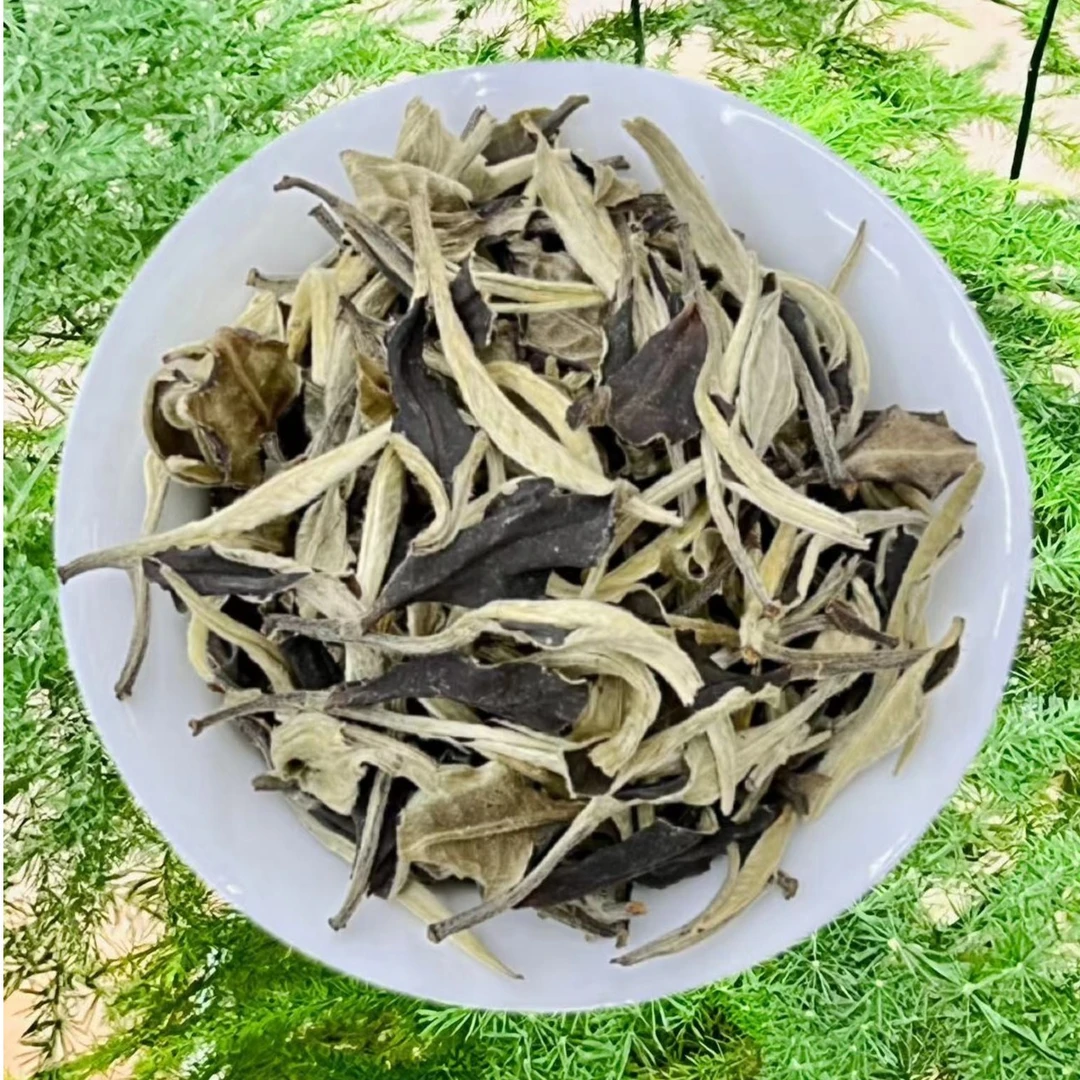月光白古树白茶云南白茶蜜香花果香月光美人茶叶