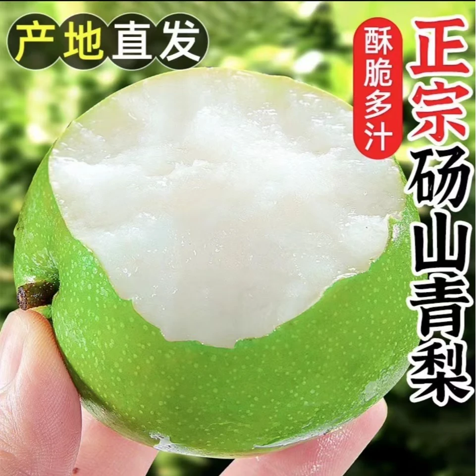 正宗安徽砀山青皮皇冠梨新鲜采摘当天发货保质保量