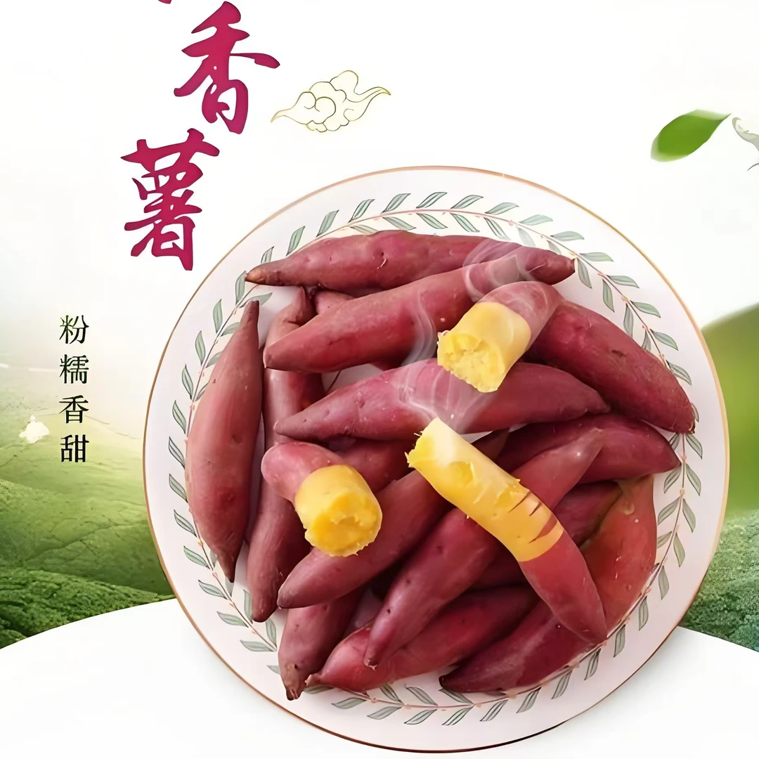 节日特惠新鲜红薯板栗甜糯无丝农家自种现挖现发板栗红薯地瓜新鲜