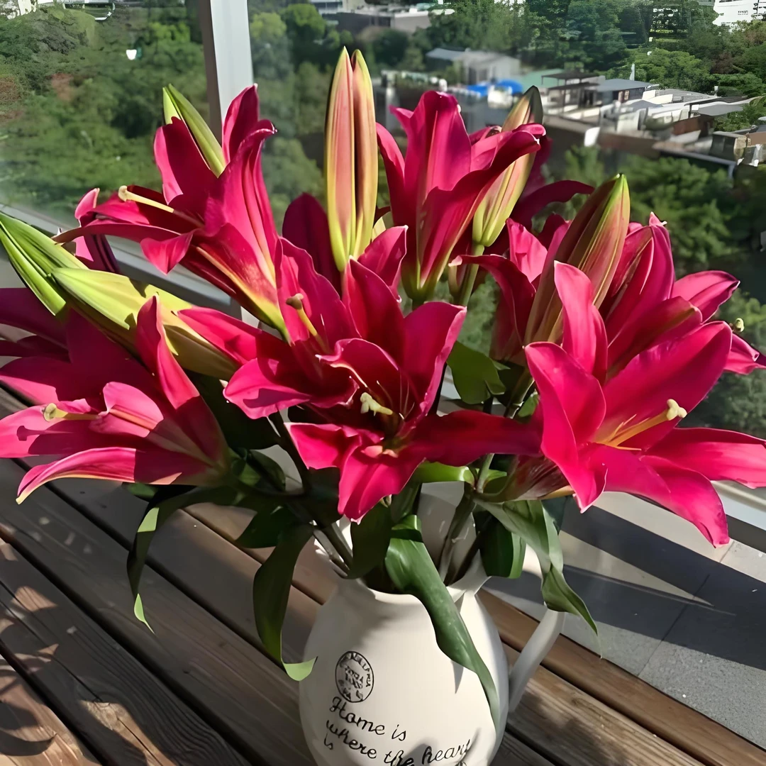 红色火石百合东北凌源原产地鲜切花