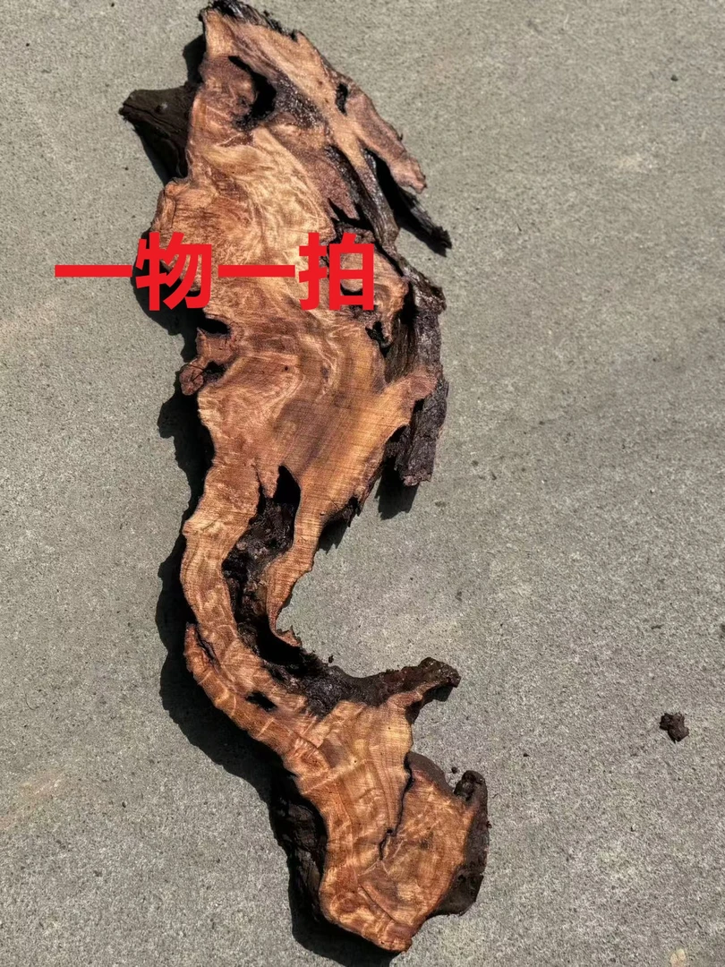 杉木瘤切片基地直售一物一拍