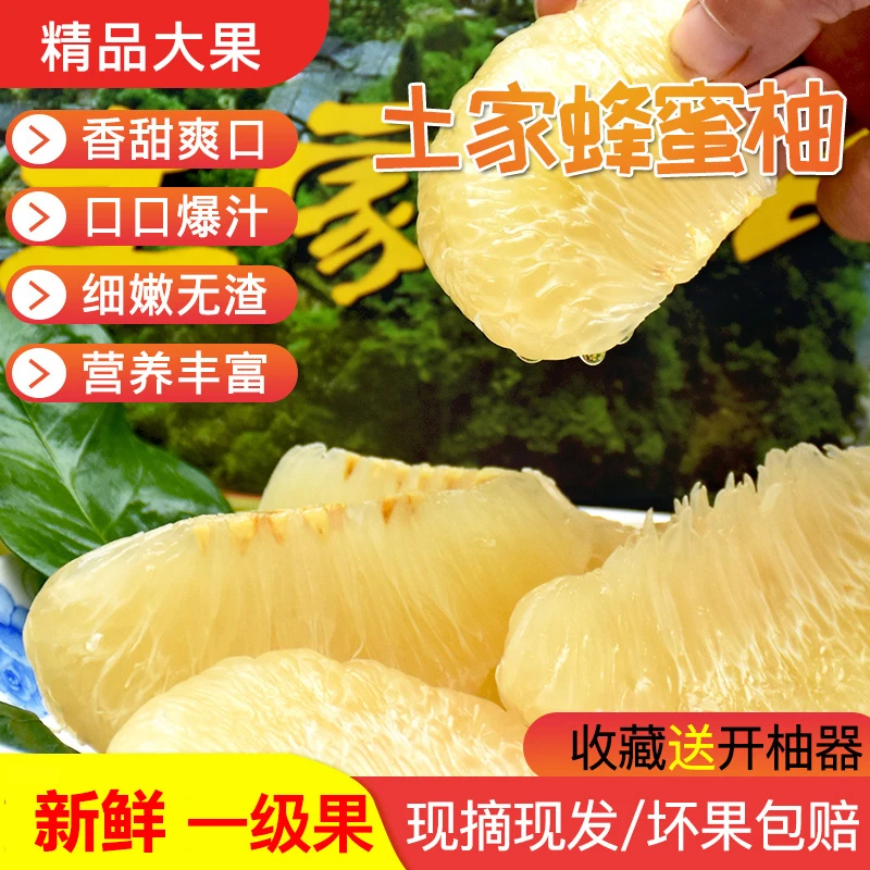 应季新鲜白柚正宗土家蜂蜜柚白皮柚子大果蜜柚现摘水果酸甜可口