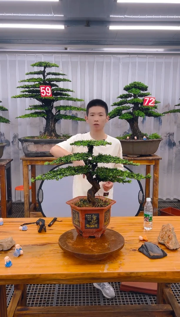 【闪购商品】紫砂精品盆景直播间一物一拍