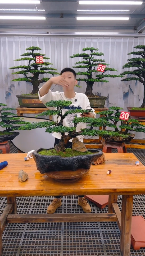 【闪购商品】紫砂精品盆景直播间一物一拍