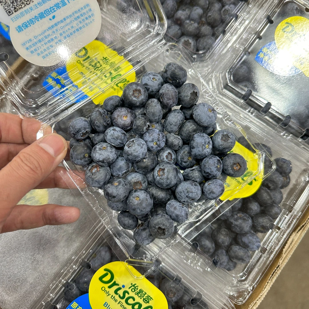 怡颗莓蓝莓