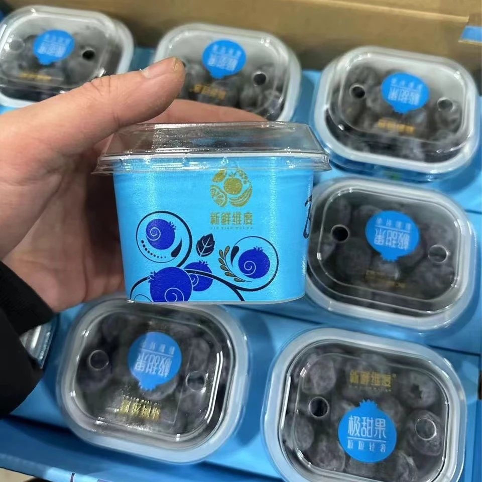 【惠鑫顺小聪聪】极甜蓝莓杯