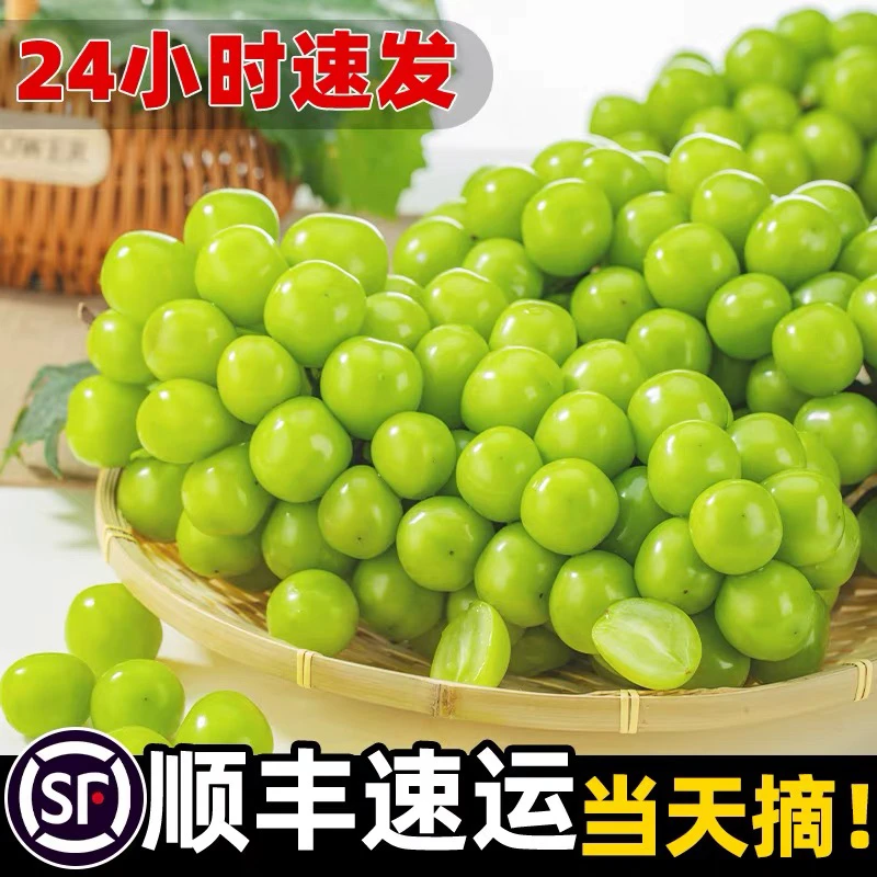 大连阳光玫瑰国产晴王精品A果顺丰包邮