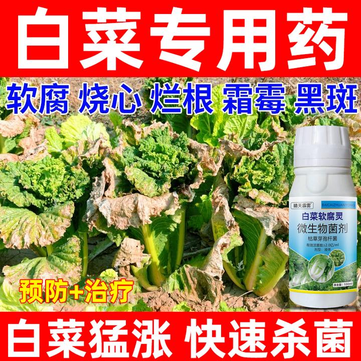 白菜病专用药白菜烧心黄叶白斑病黑斑软腐病霜霉病灰霉猝倒叶面肥