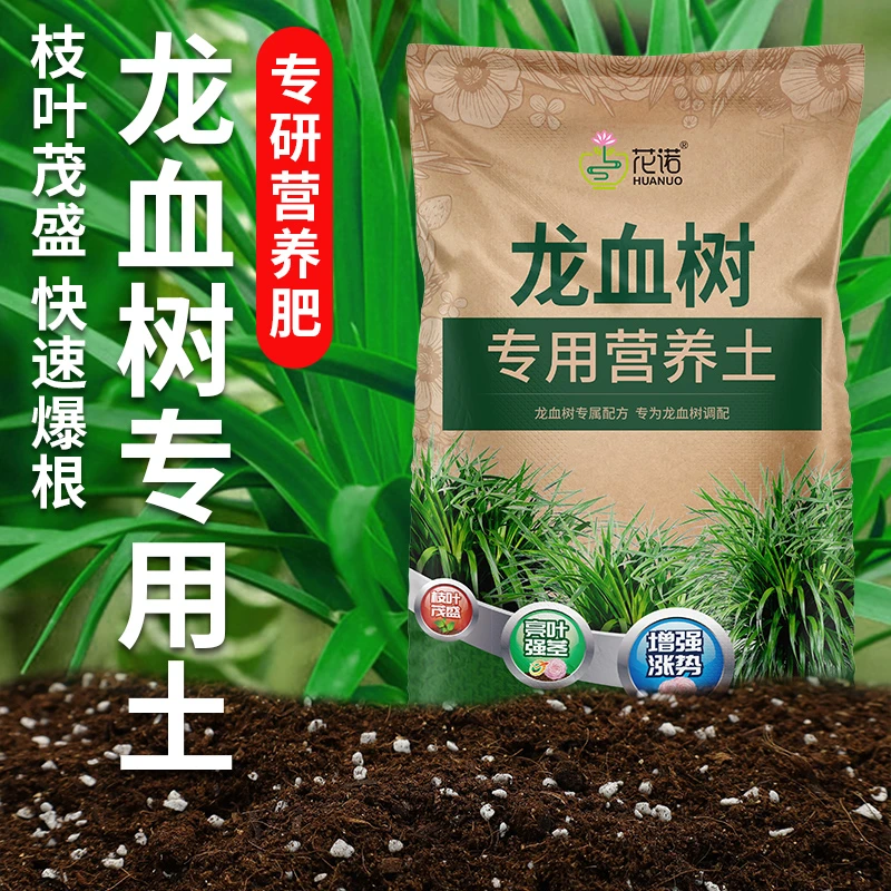 龙血树专用土通用客厅绿植有机土壤龙血树专用肥料土质疏松含菌少