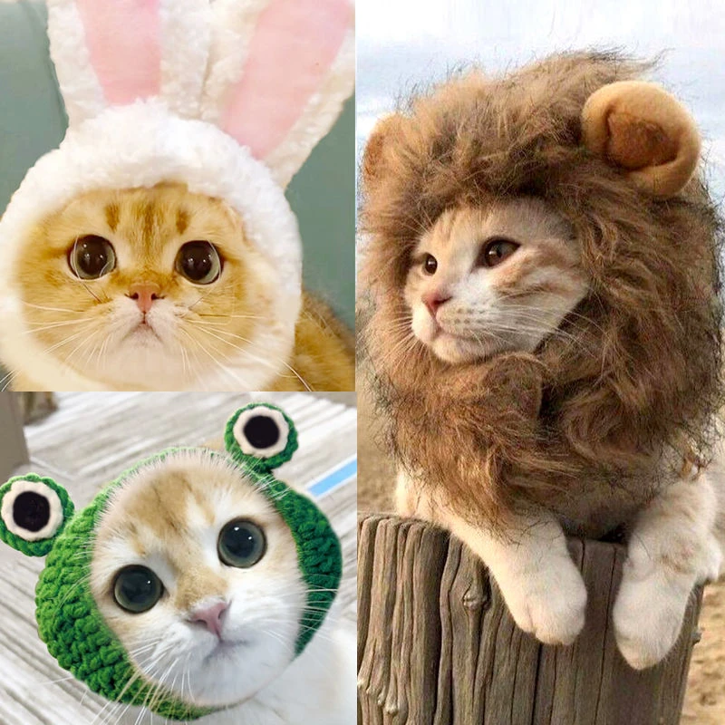 宠物猫咪帽子头套泰迪博美法斗小狗抖音搞笑帽子狗狗帽子头饰用品