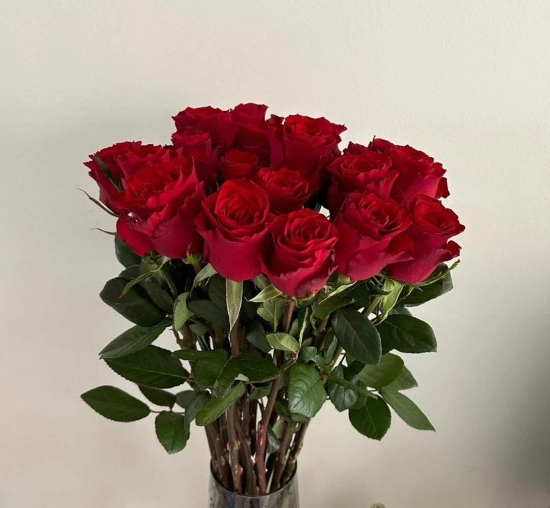 【基地红玫瑰】10支云南鲜花基地直发【0度以下请拍保温棉】