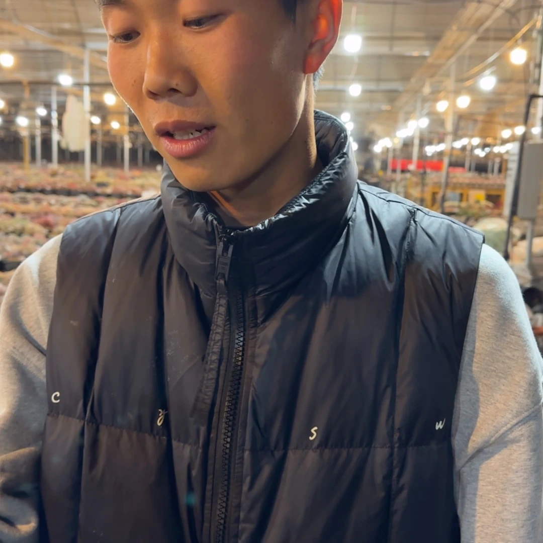 【闪购商品】框拍6颗