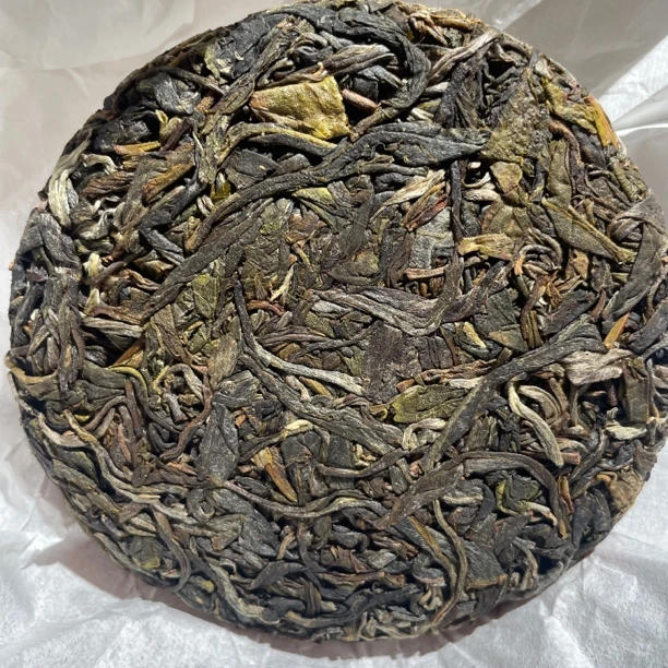 麻栗树 1 号2024年古树单株 生普饼100克饼 昌益茶叶