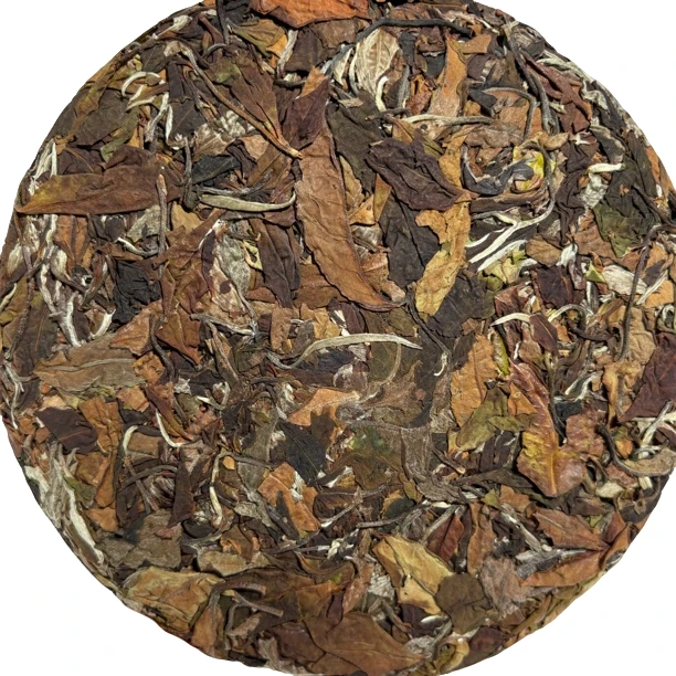 -【2021年古树春白茶➕螃蟹脚饼】357克饼