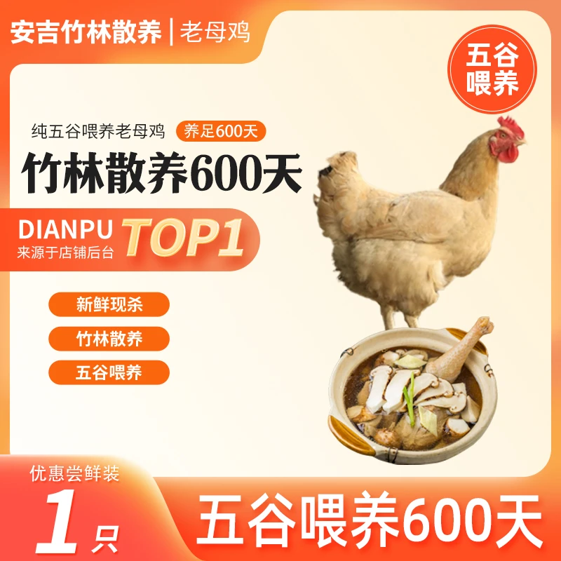 【山谷优品】2.2斤土鸡老母鸡顺丰冷链发货竹林散养乡鸡炖汤蛋鸡禽