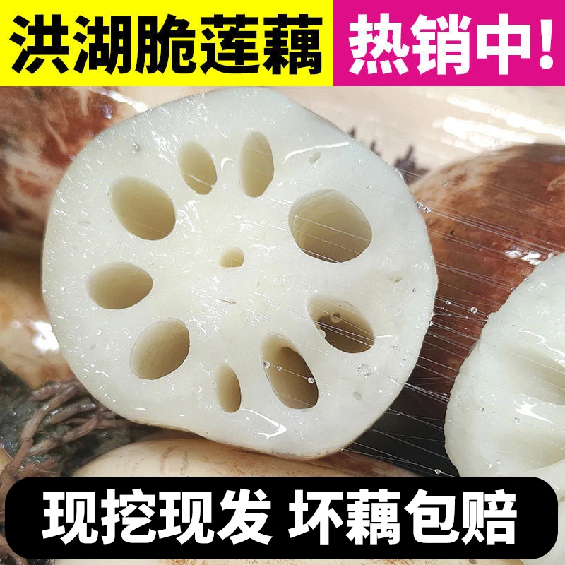 【新货脆藕】新藕精品洪湖莲藕新鲜藕嫩藕脆藕清炒藕片无添加无漂白