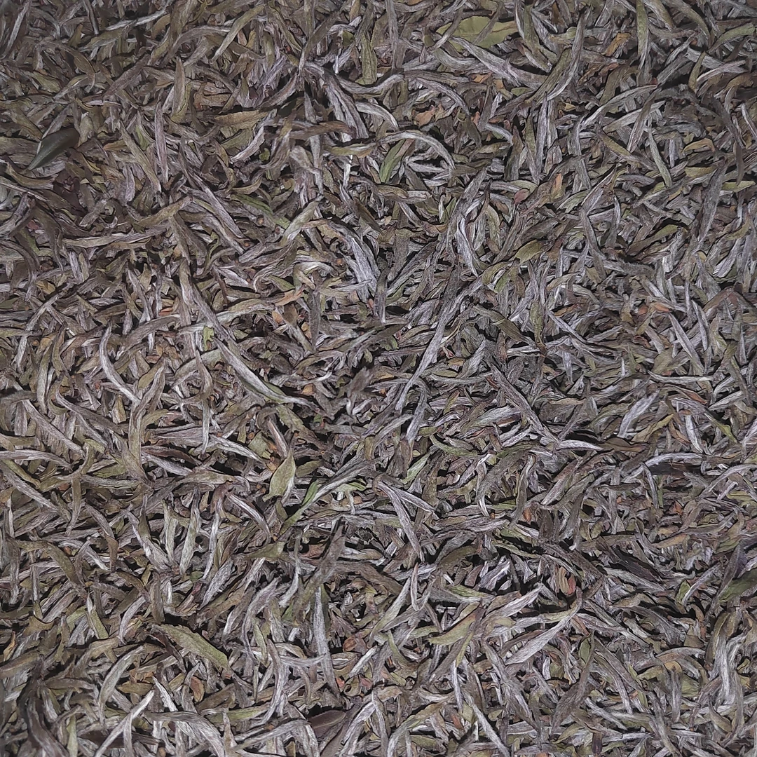 临时链接 2018年荒山白毫银针   50克
