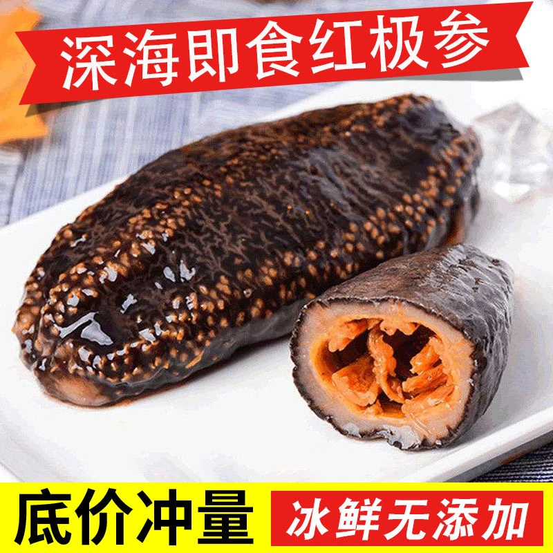 即食海参冰岛加拿大野生海参冷冻北极红参批发非大连辽参500g/袋
