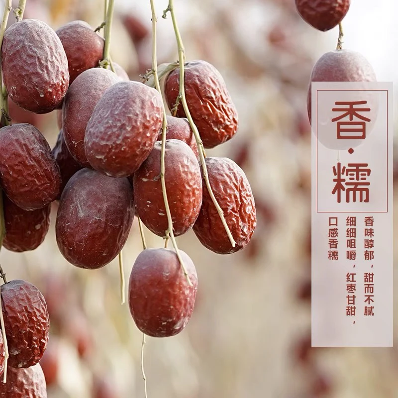 正宗【红枣】正品新疆红枣灰枣干枣煲汤煮粥泡水