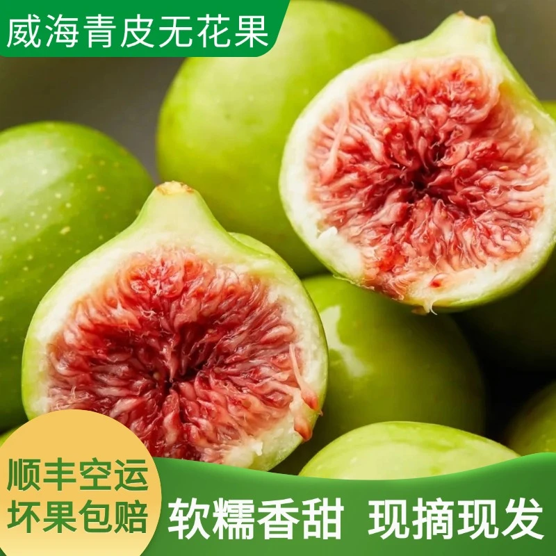 【顺丰包邮】威海青皮无花果新鲜采摘果园现摘现卖产地直发坏果包赔