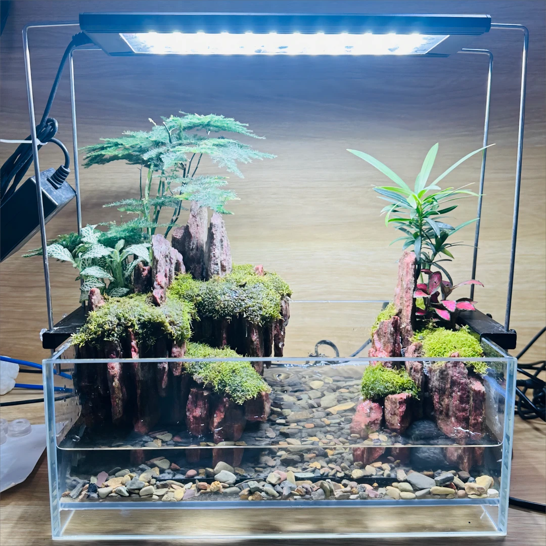 水陆生态景观懒人造景缸桌面绿植苔藓盆栽山水观鱼办公室茶桌摆件