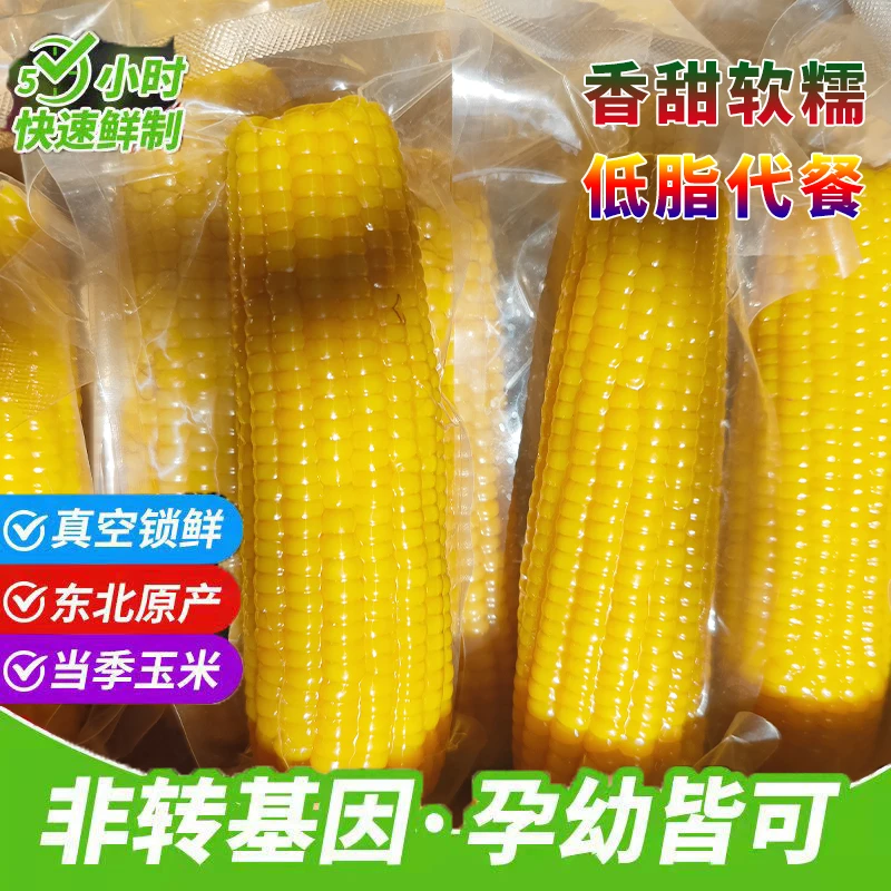 25年东北鲜食黄糯玉米棒新鲜零食早餐低脂代餐真空包装8根4.5-5斤