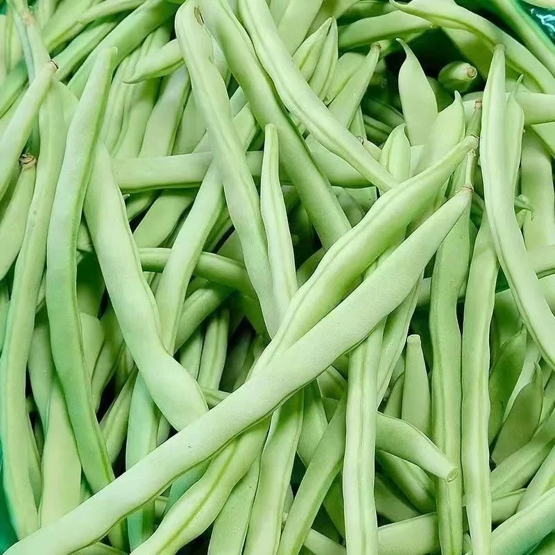 【阿妹农家优品】湘西大山新鲜蔬菜 当季时令果蔬 四季豆