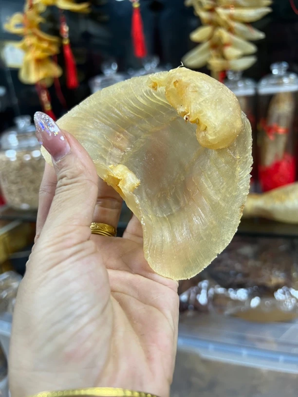 南澳赤嘴鱼胶1–500克(改价链接)