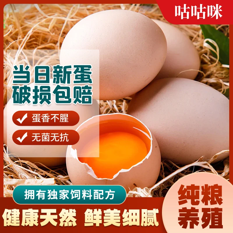 纯粮无抗生素无激素纯天然营养土鸡蛋