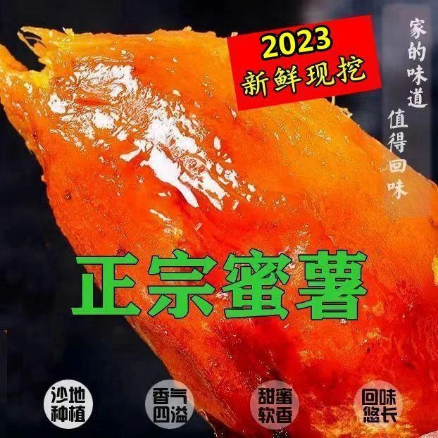 山东新鲜蜜薯烟薯25糖心流油沙土地地瓜红薯烤薯番薯香薯现挖