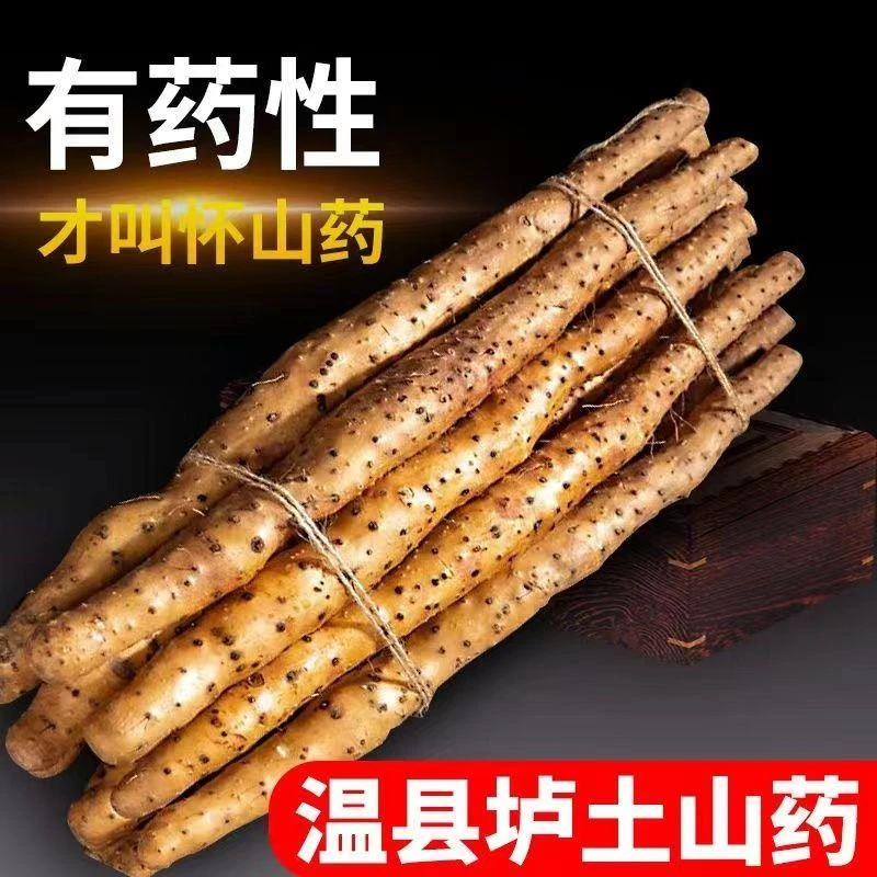 河南铁棍山药正宗新鲜小白嘴铁杆垆土怀山淮山药粉糯面甜蔬菜尝鲜