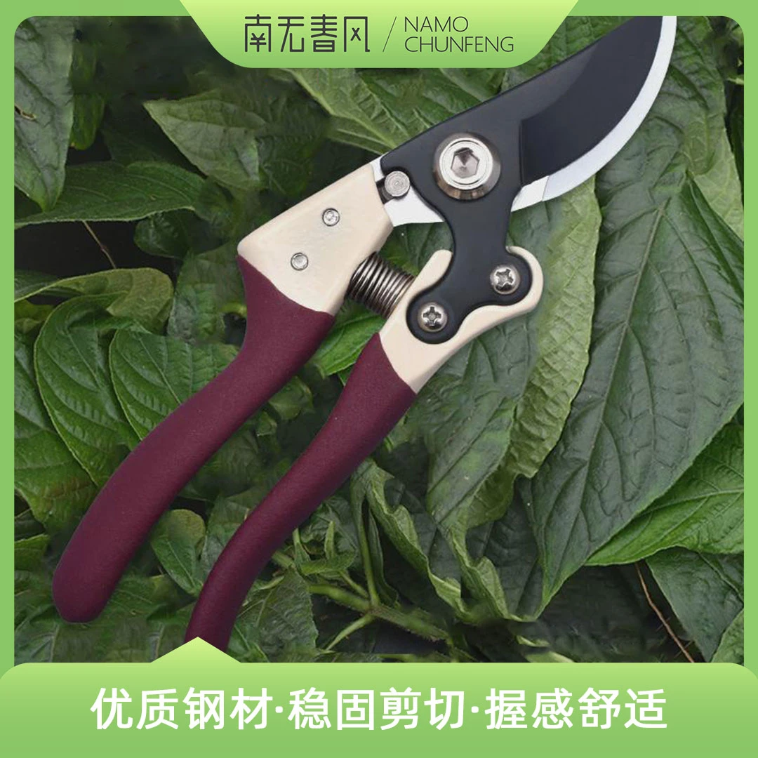 [紫色黑刃剪刀]果树修枝新款园林家用省力SK5钢盘景修剪工具