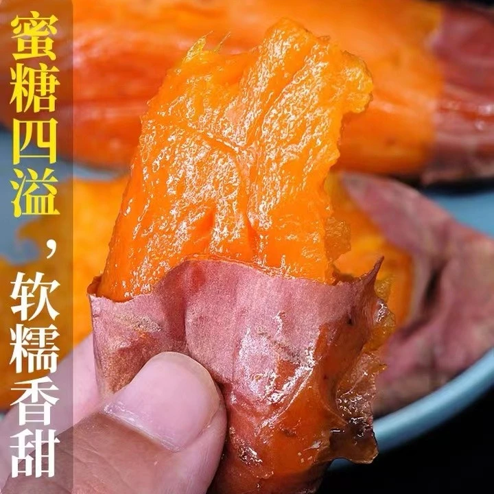 山东正宗烟薯25号软糯香甜糖心流油流蜜4.5~5斤