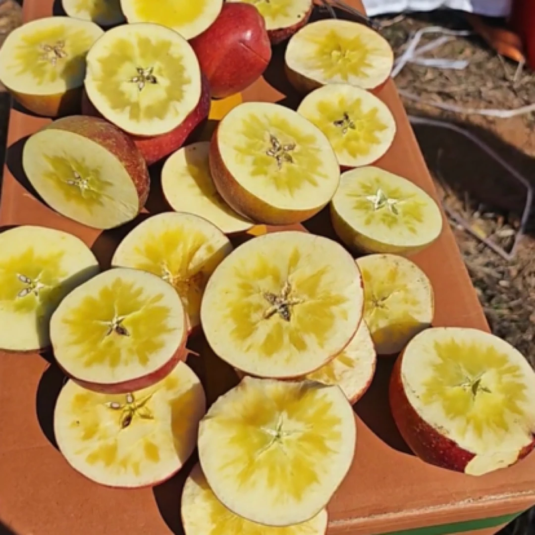 【保糖心新】【不保面积】正宗四川大凉山现摘冰糖心苹果正宗水果