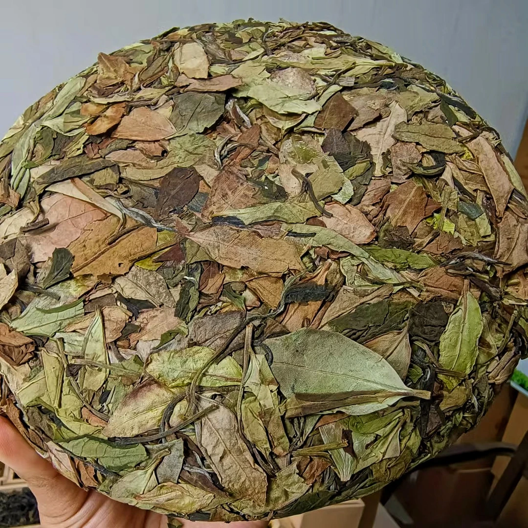 2024年云南凤庆【黄丹白茶】饼茶