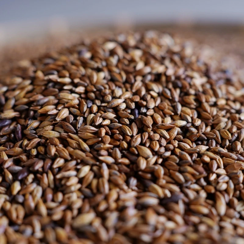 【老闺女甄选】大麦原味耐泡散装250g