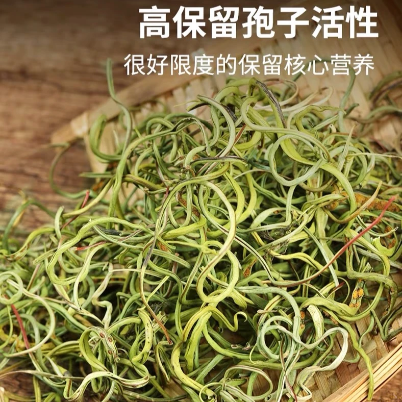 东北特产 长白山石茶 黄金孢点草 嗷嗷叫 肾经草深山采摘自然生长