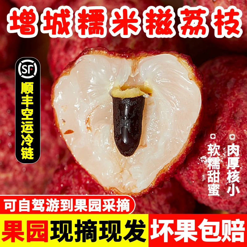 增城多汁糯米糍荔枝新鲜现摘水果荔枝孕妇当季甜荔枝3斤包邮