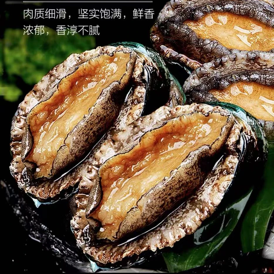 【顺丰发货】6-8头鲍长度6-7cm 东山岛深海鲍鱼 液氮速冻海鲜