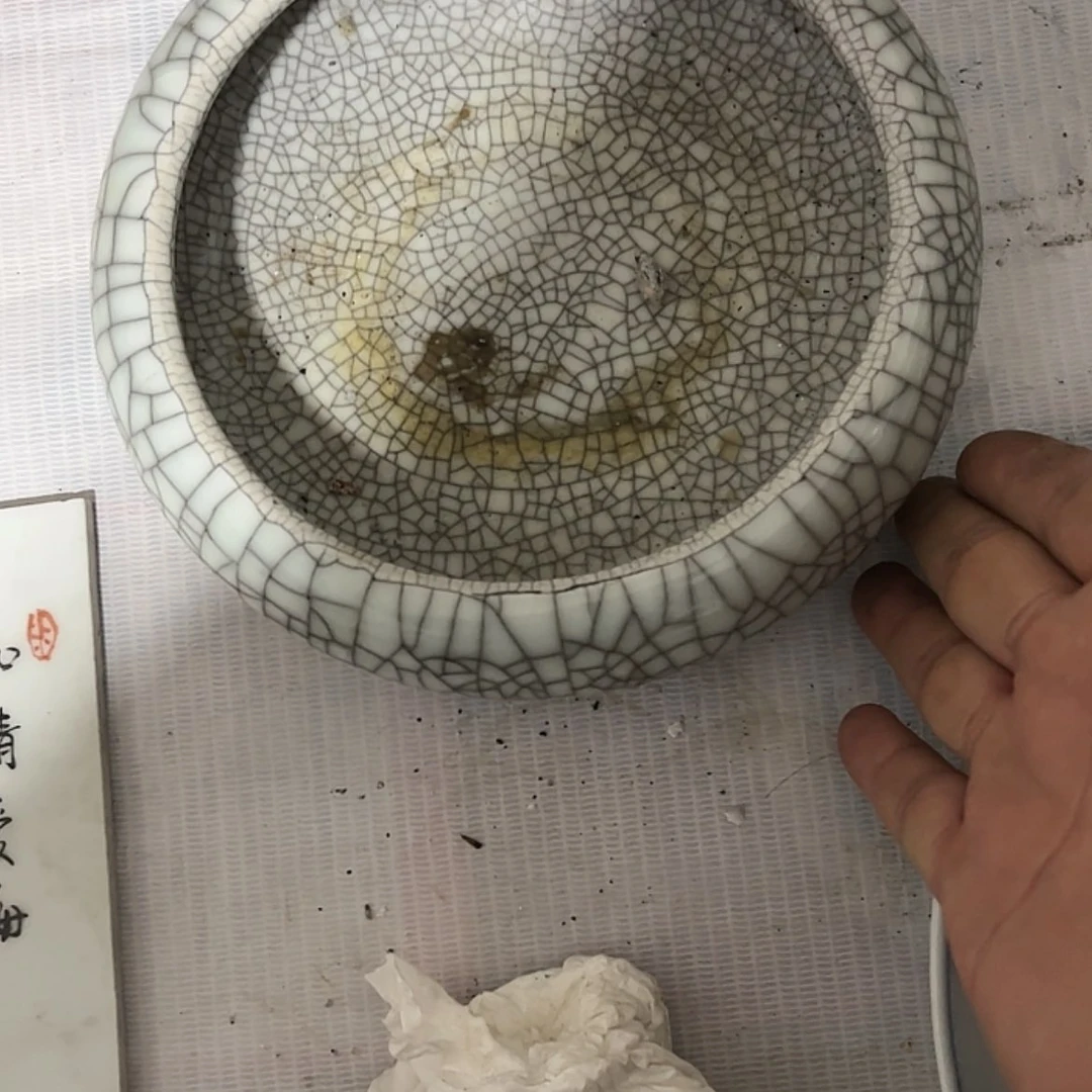 【闪购商品】陶瓷碟一**如