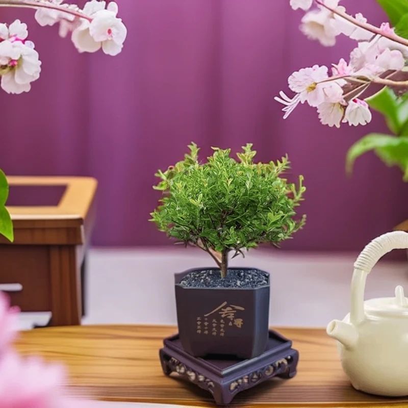 小叶赤楠盆景老桩盆栽植物办公室室内花卉桌面四季常青好养绿植