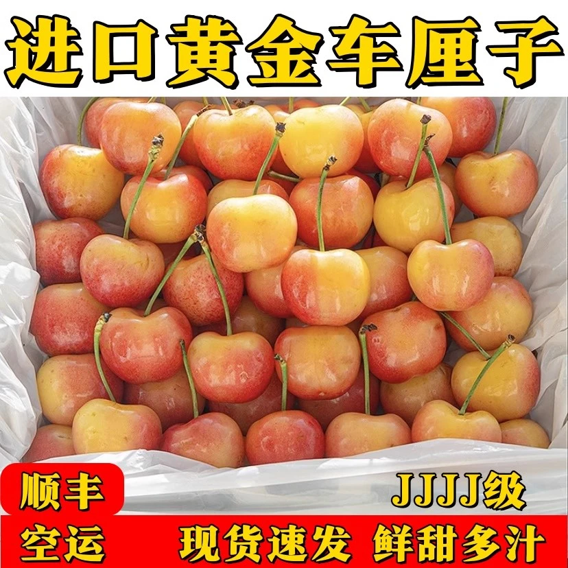 4J-J【顺丰包邮】智利空运雷尼尔进口黄金车厘子1~4斤（内附果径卡）